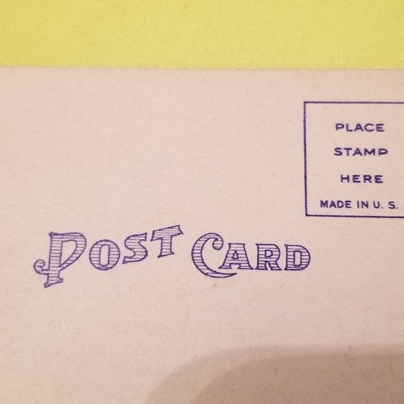 Vintage Postcard Catch of Kingfish 64855 - Picture 6 of 10